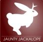 CatalanTeam/Grafisme/ubuntu-jaunty-jackalope-bPetit.jpg